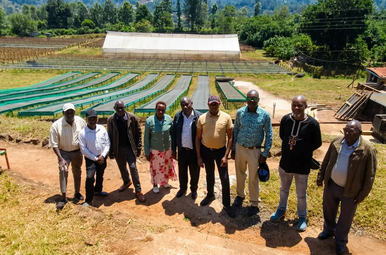 The Gathaithi management and supervisory committees standing together on the drying beds at the wet mill.